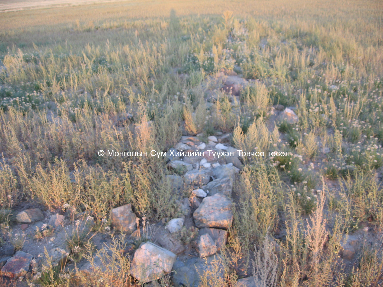 Талын модонгийн хийдийн туурь/6/